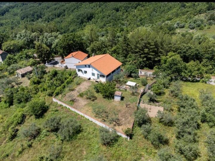 Holiday home Anthony House